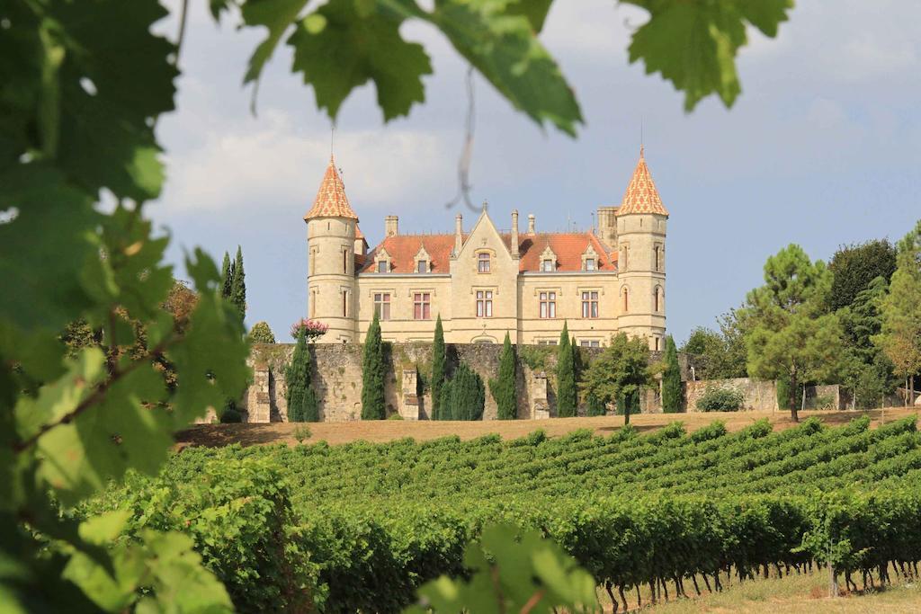 Chateau Moncassin Leyritz-Moncassin Экстерьер фото